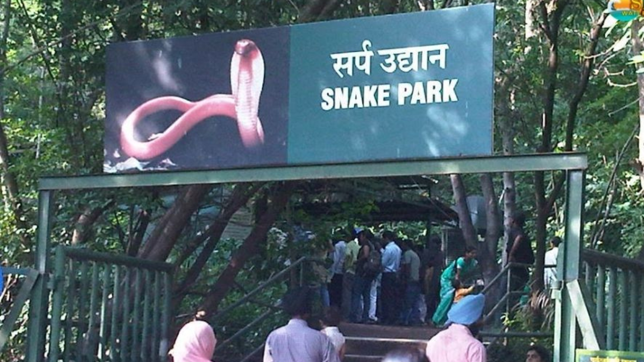 Katraj Snake Park, India: 10 things no one tells you about this tourist destination