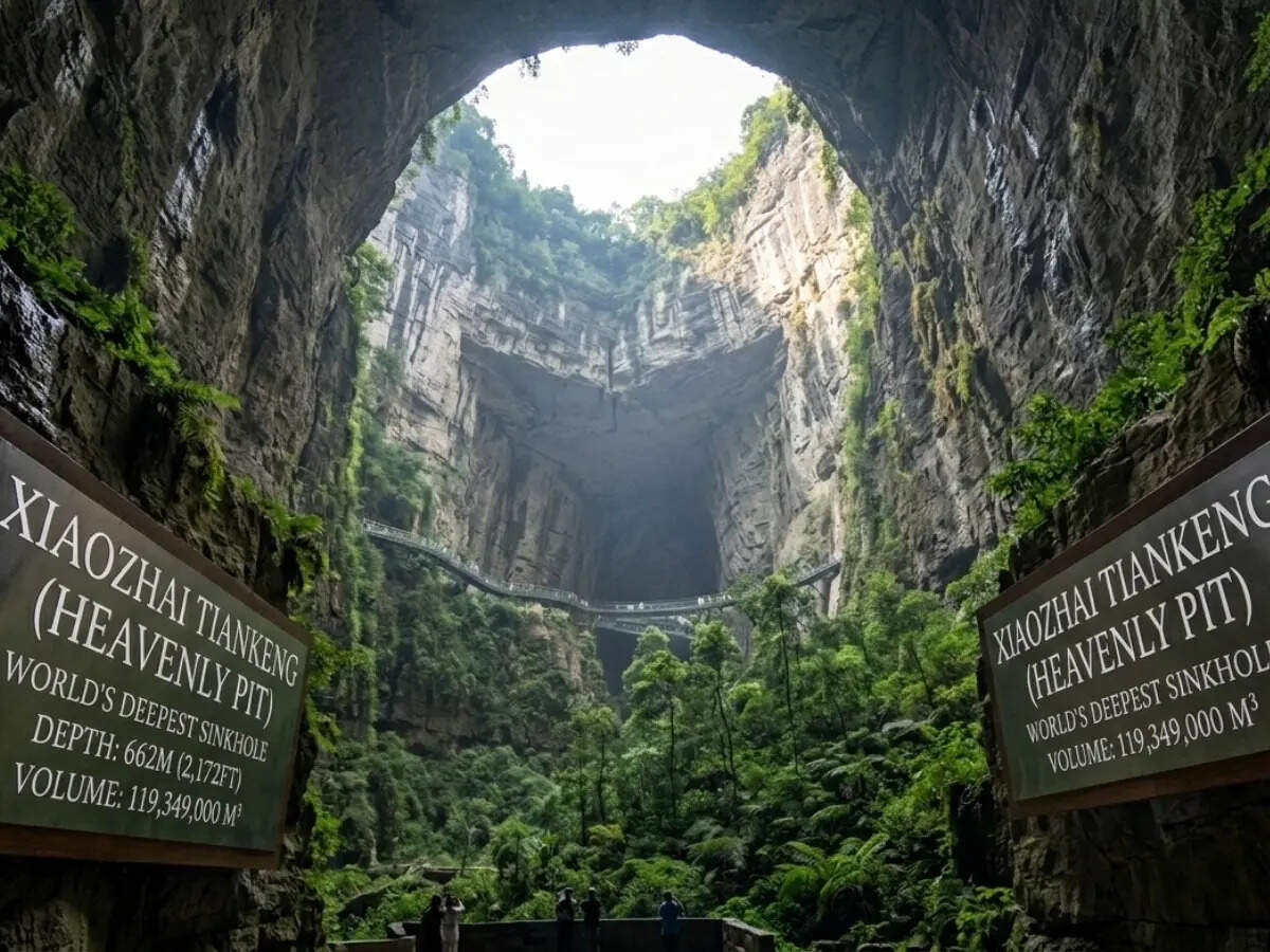 WhatsApp Image 2026-04-29 at 4.40.50 PM.