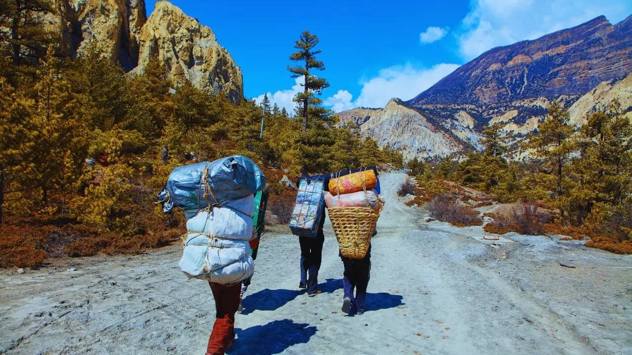Porters in the mountains
