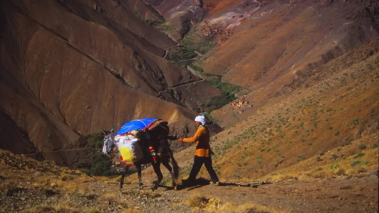 Porter on a mountain rail