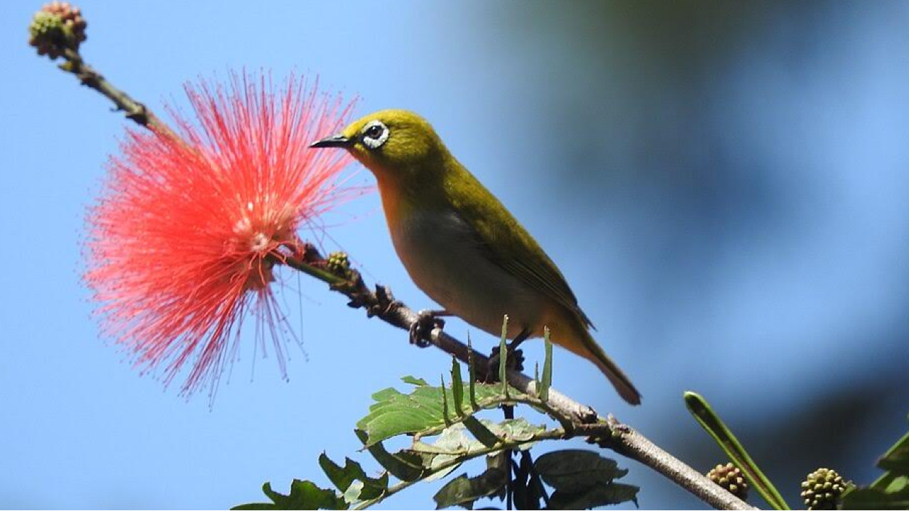 resizeplus_elango photo