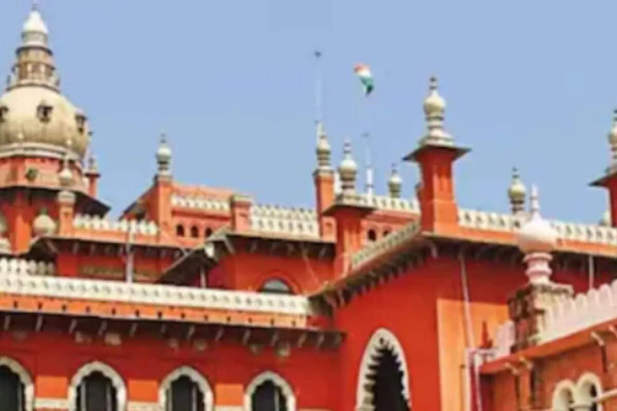 Allow leave for 3rd pregnancy: Madras HC to TN govt