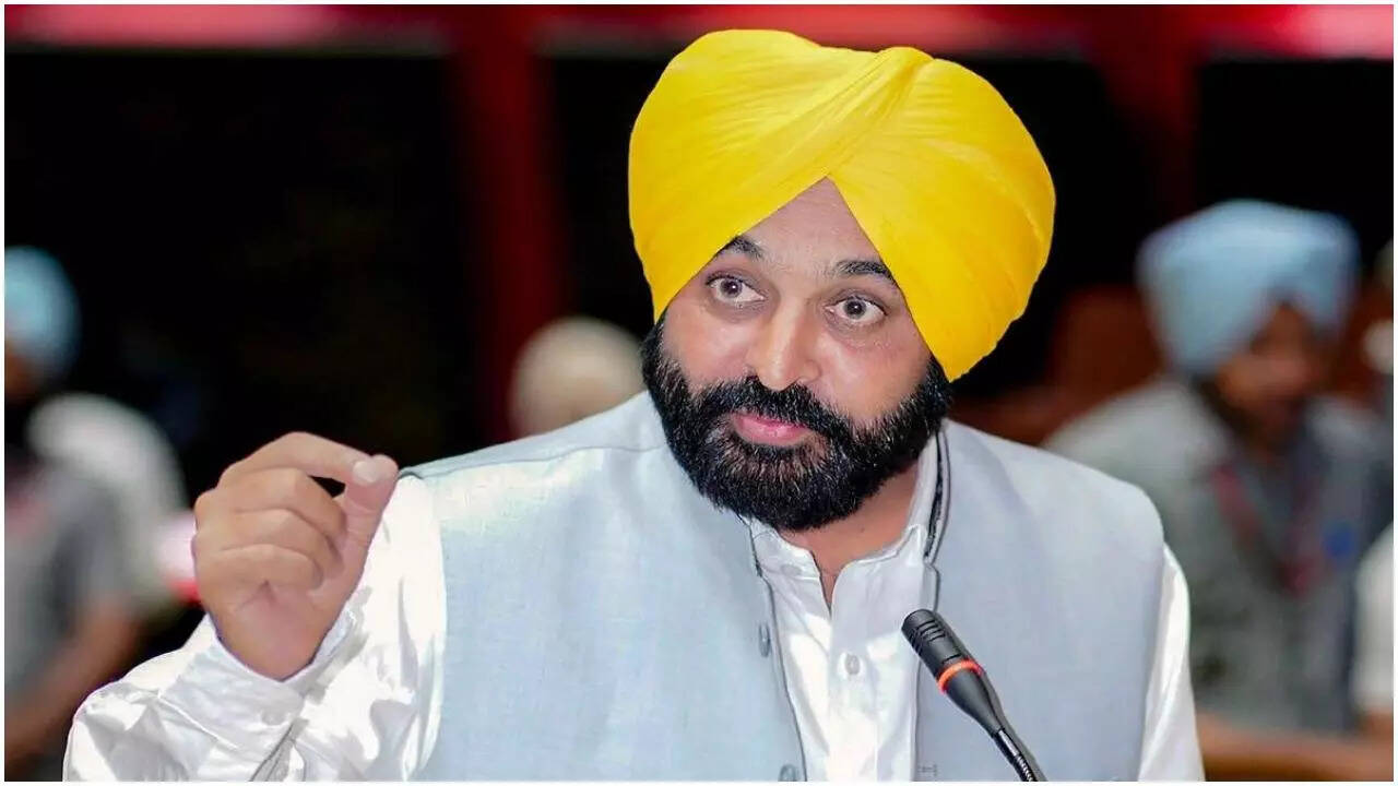 ‘Fellow MLAs will remain outside’: Punjab CM to meet President Murmu over seven AAP RS MPs joining BJP