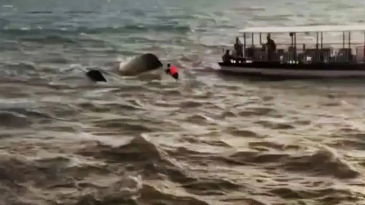Cruise boat capsize: Tragedy exposes safety gaps, mirrors past lapses in Bhopal