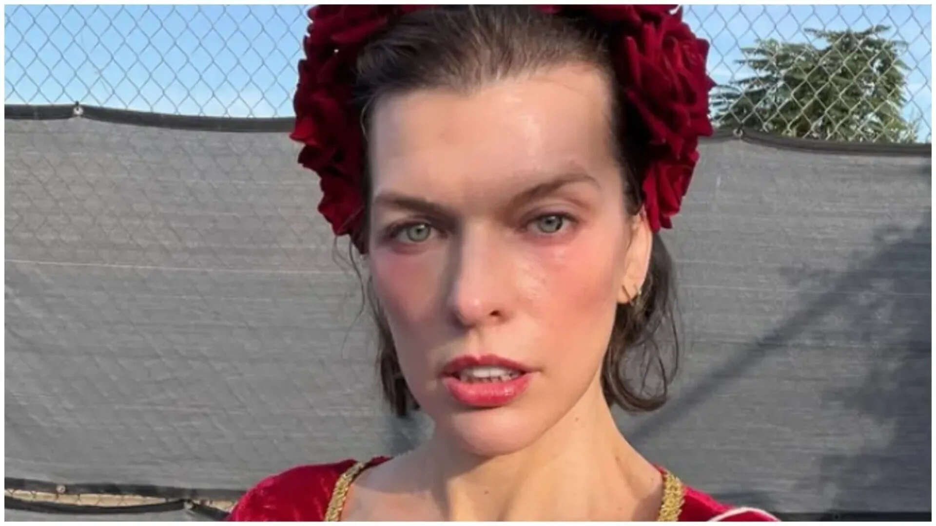 Milla Jovovich's net worth