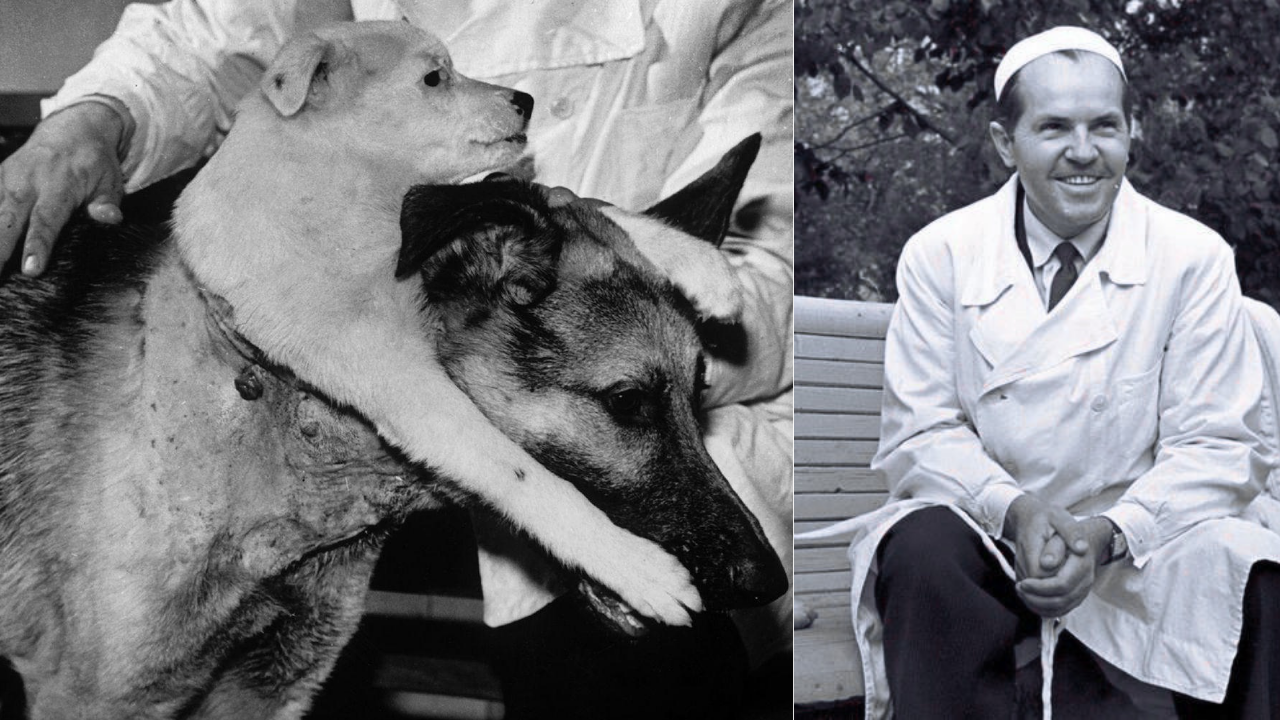 The Demikhov Myth Why Surgical Spectacle Is Not Scientific Genius
