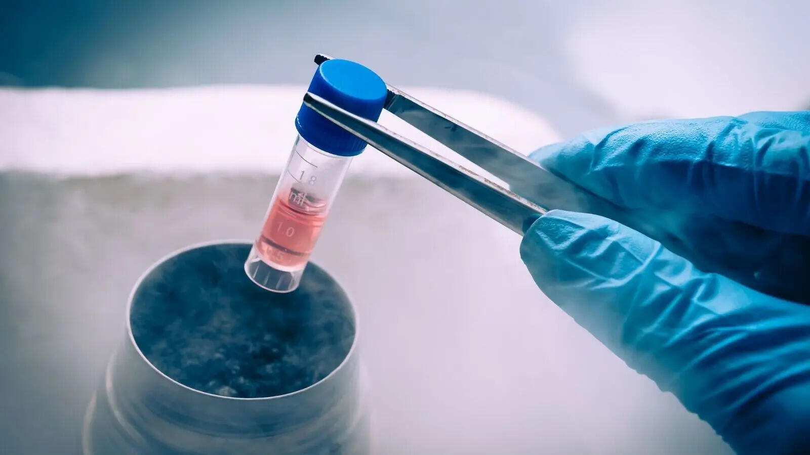 stem cells