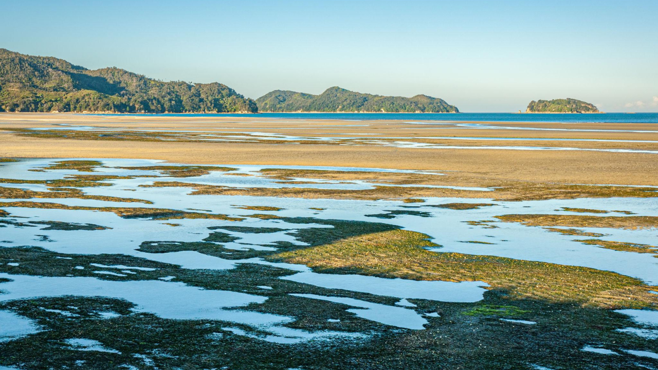 People power: 40,000 people raised millions to buy a beach and give it away for everyone
