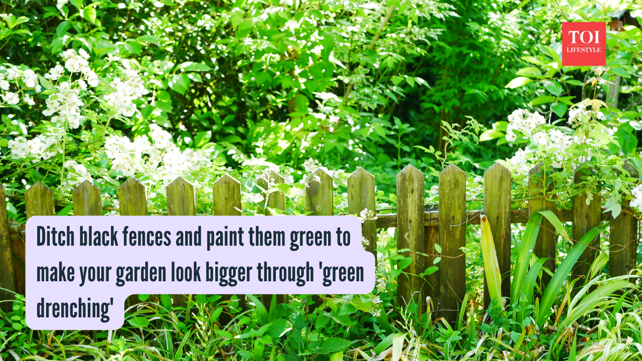Ditch black fences and paint them green to make your garden look bigger through 'green drenching'