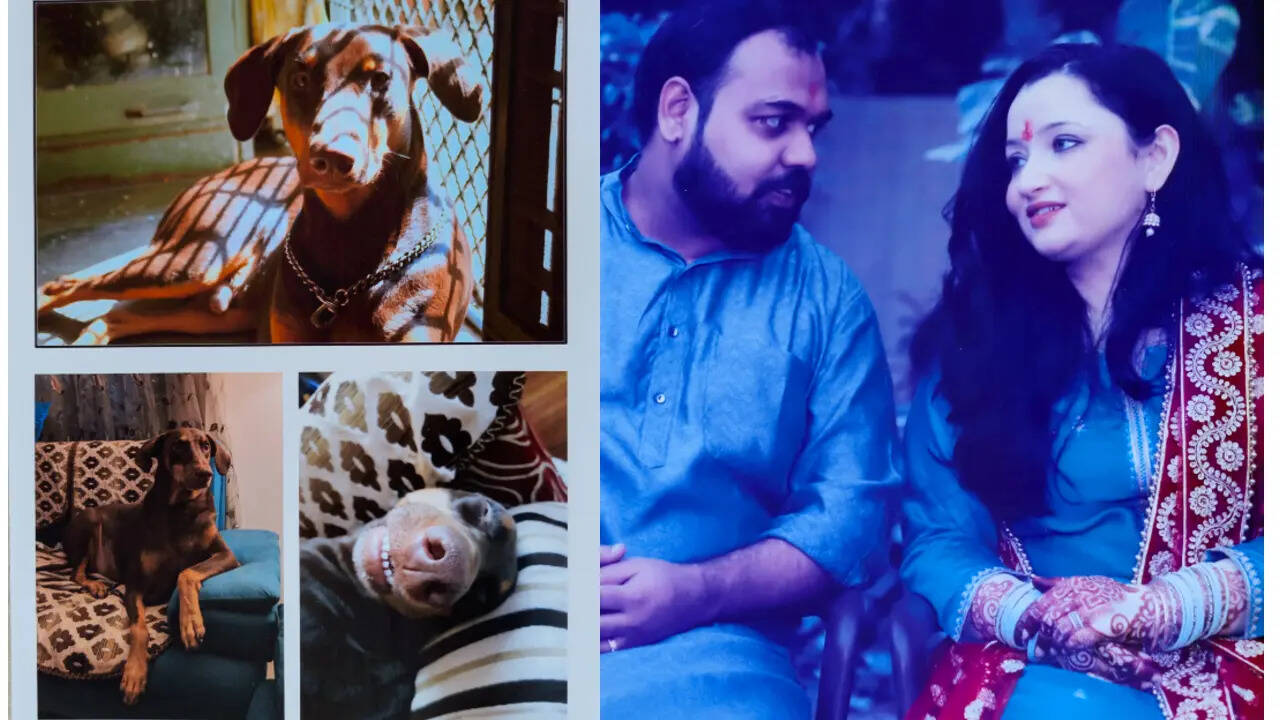HP photo prints