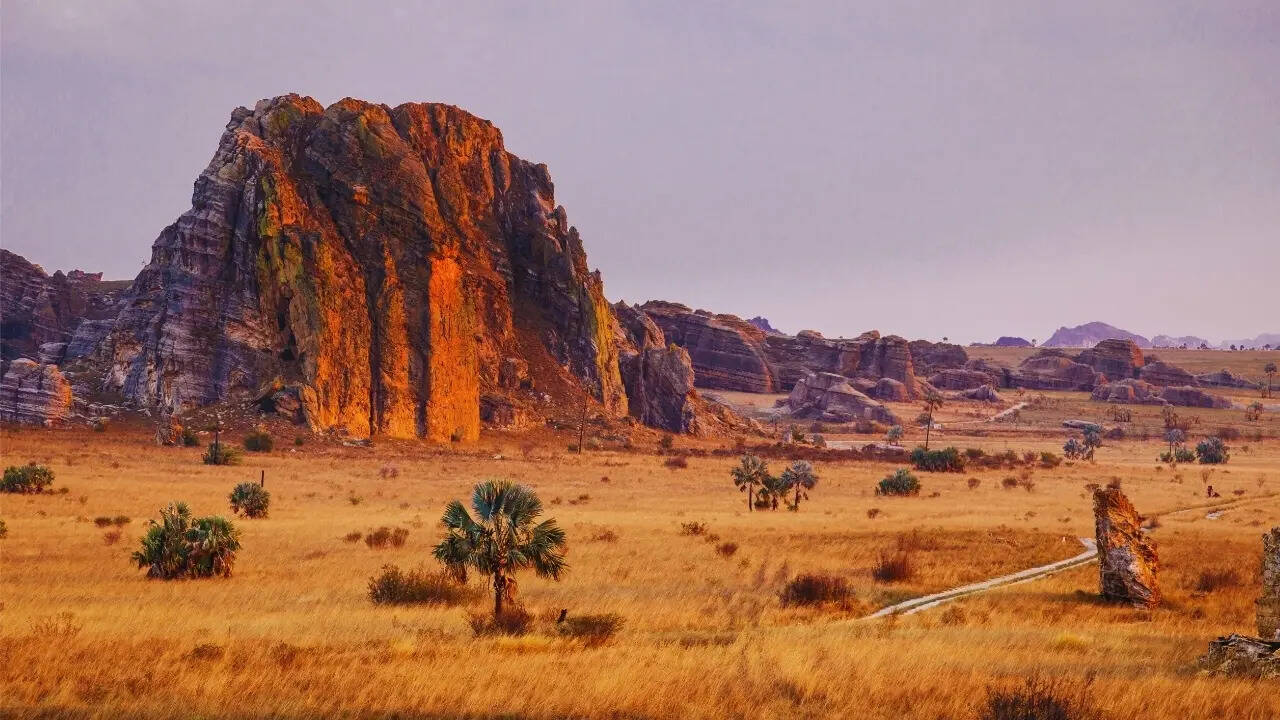 madagascar landscape