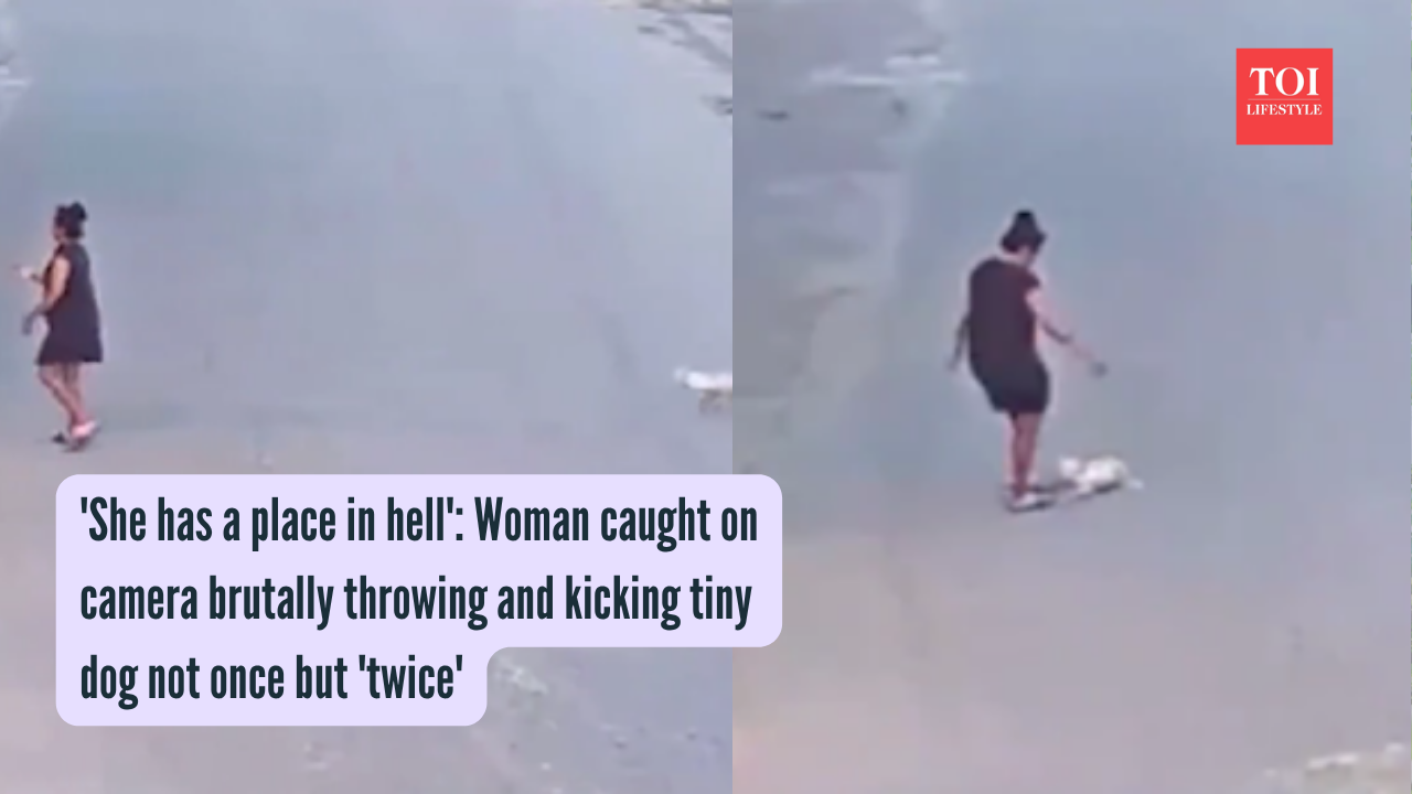 'She has a place in hell' Woman caught on camera brutally throwing and kicking tiny dog not once but 'twice'