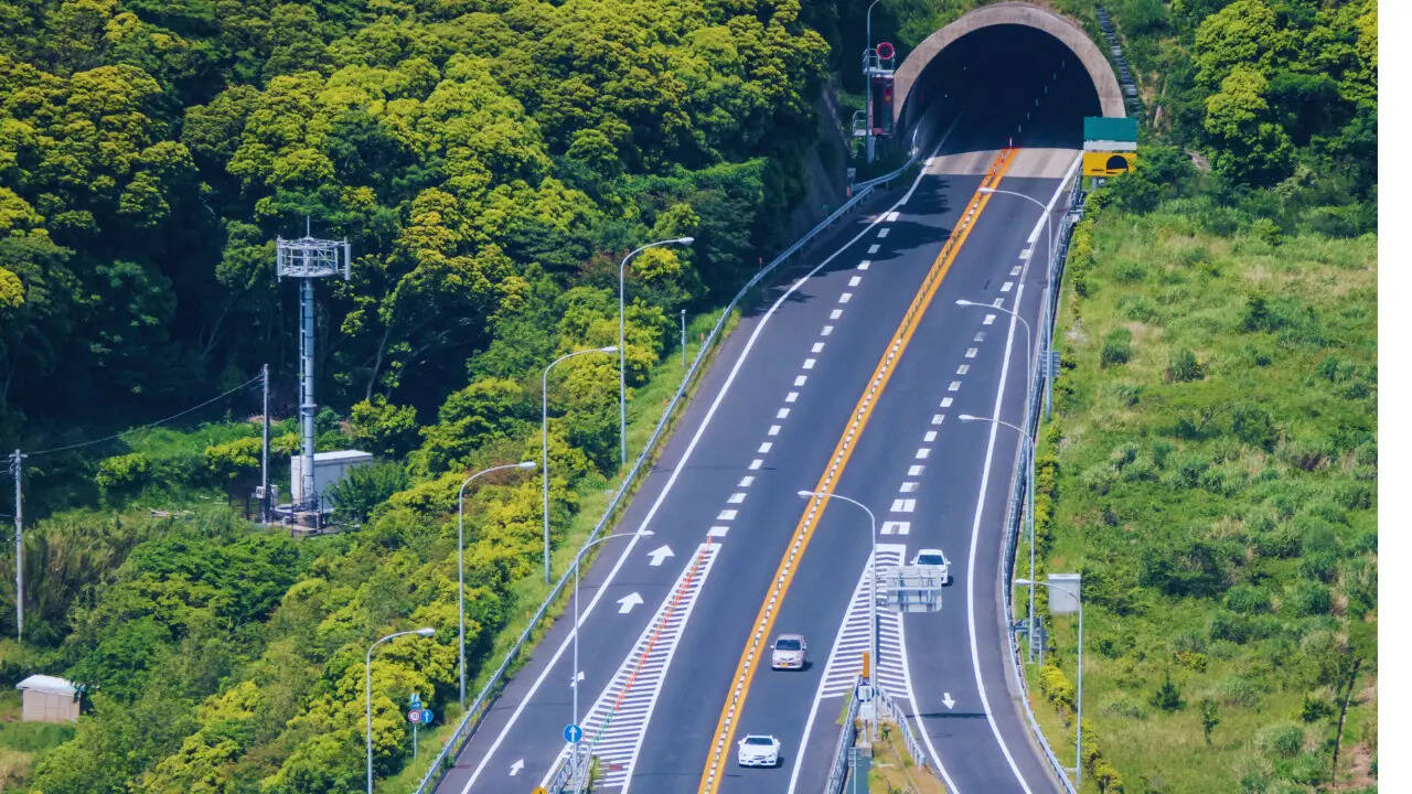Negligent driving killed 495 daily on India’s roads in 2024: NCRB