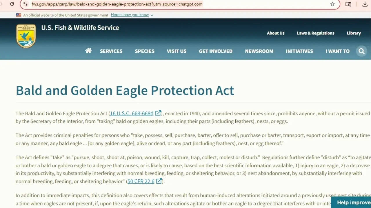 Bald and Golden Eagle Protection Act