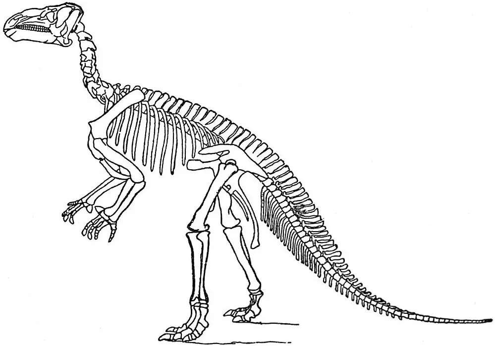 EB1911_Reptiles_-_Iguanodon_bernissartensis