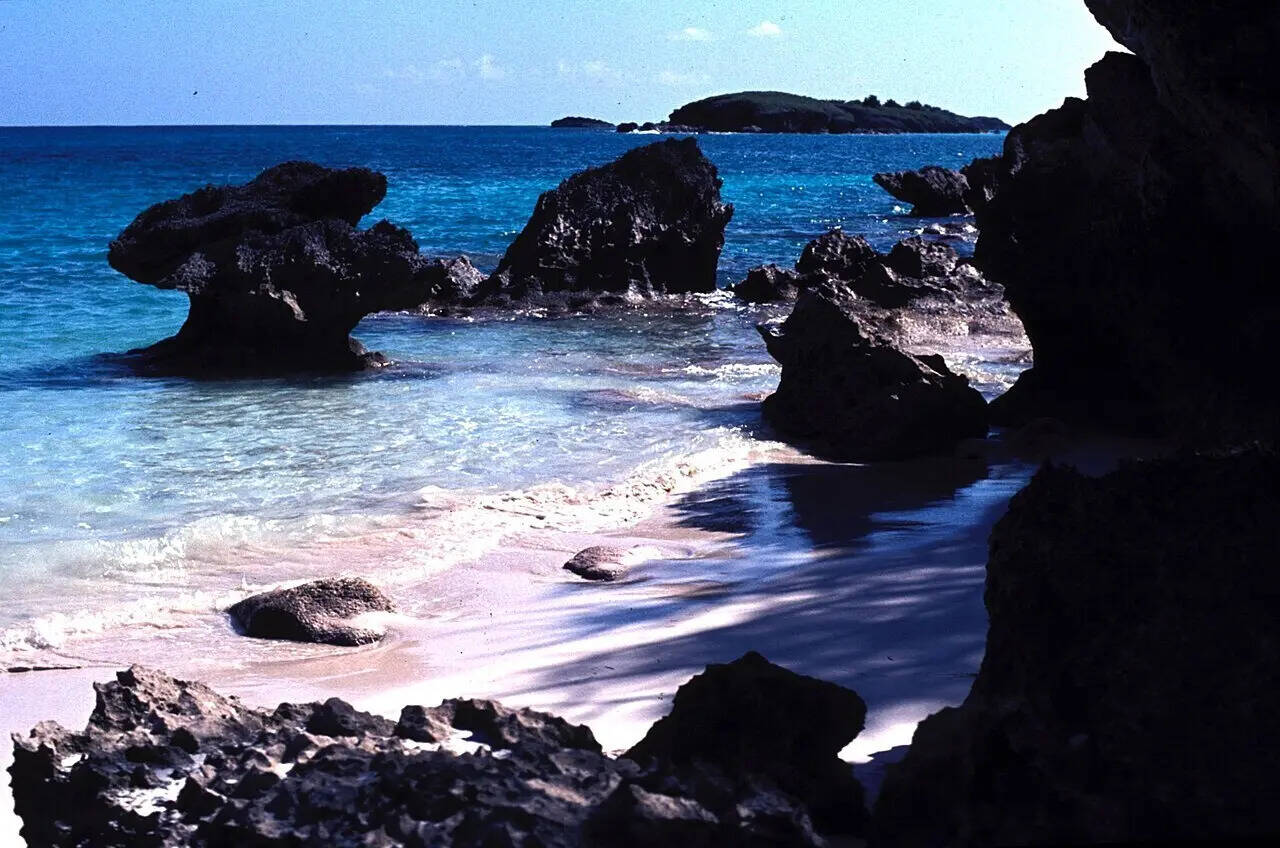 Bermuda1984-61_hg