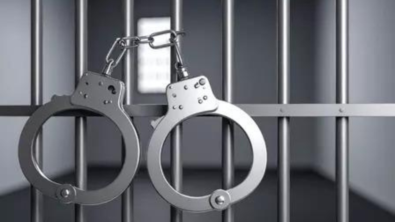10,312 arrested in 2024 in cases linked to cruelty against animals, NCRB tracks animal cruelty cases for first time