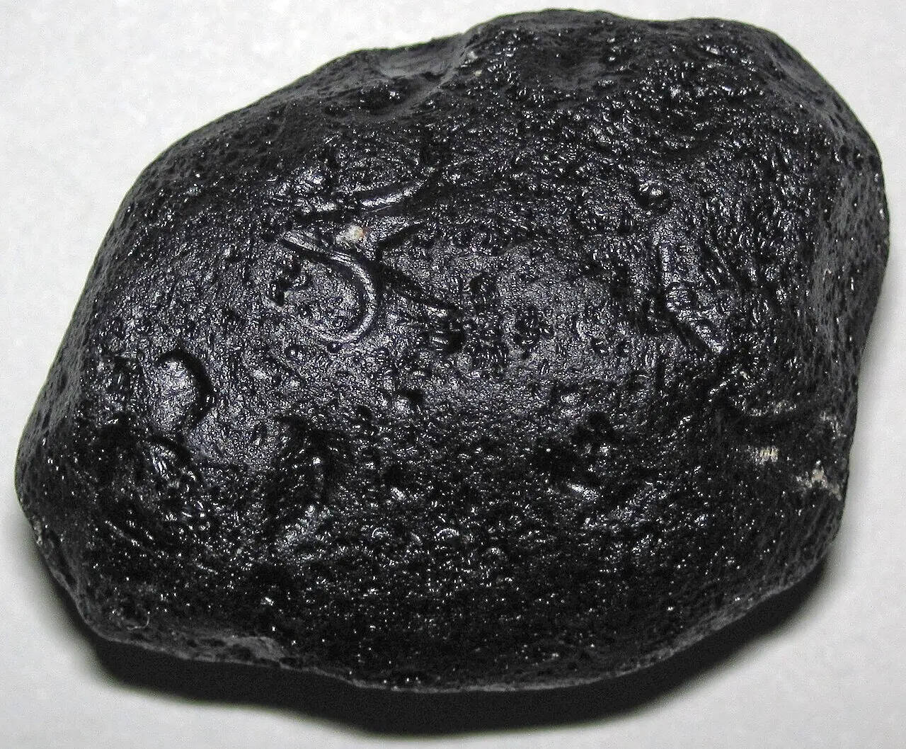Bediasite_(35_Ma,_Late_Eocene;_southeastern_Texas)_5