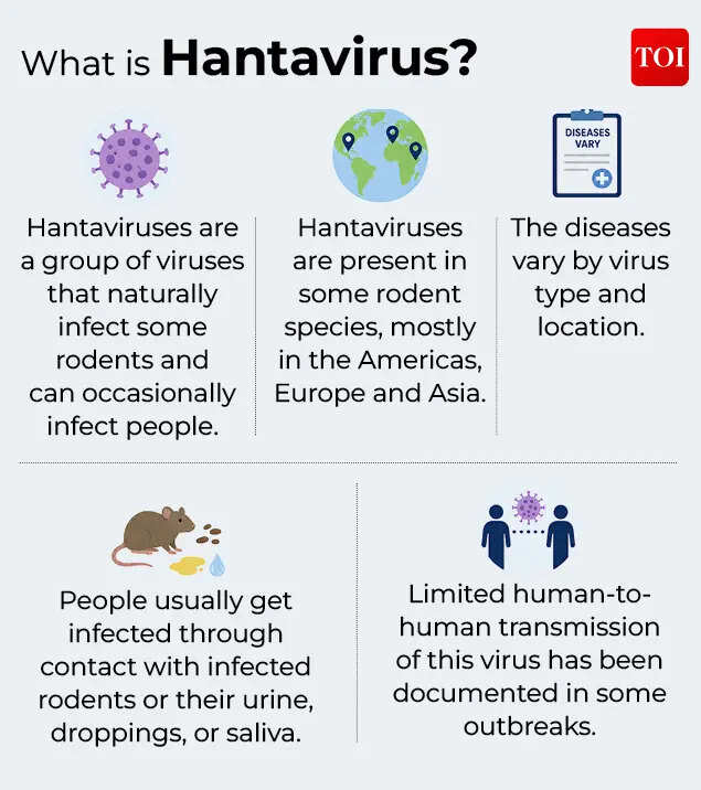 Hantavirus 1
