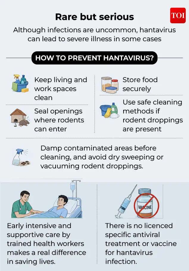 Hantavirus 4