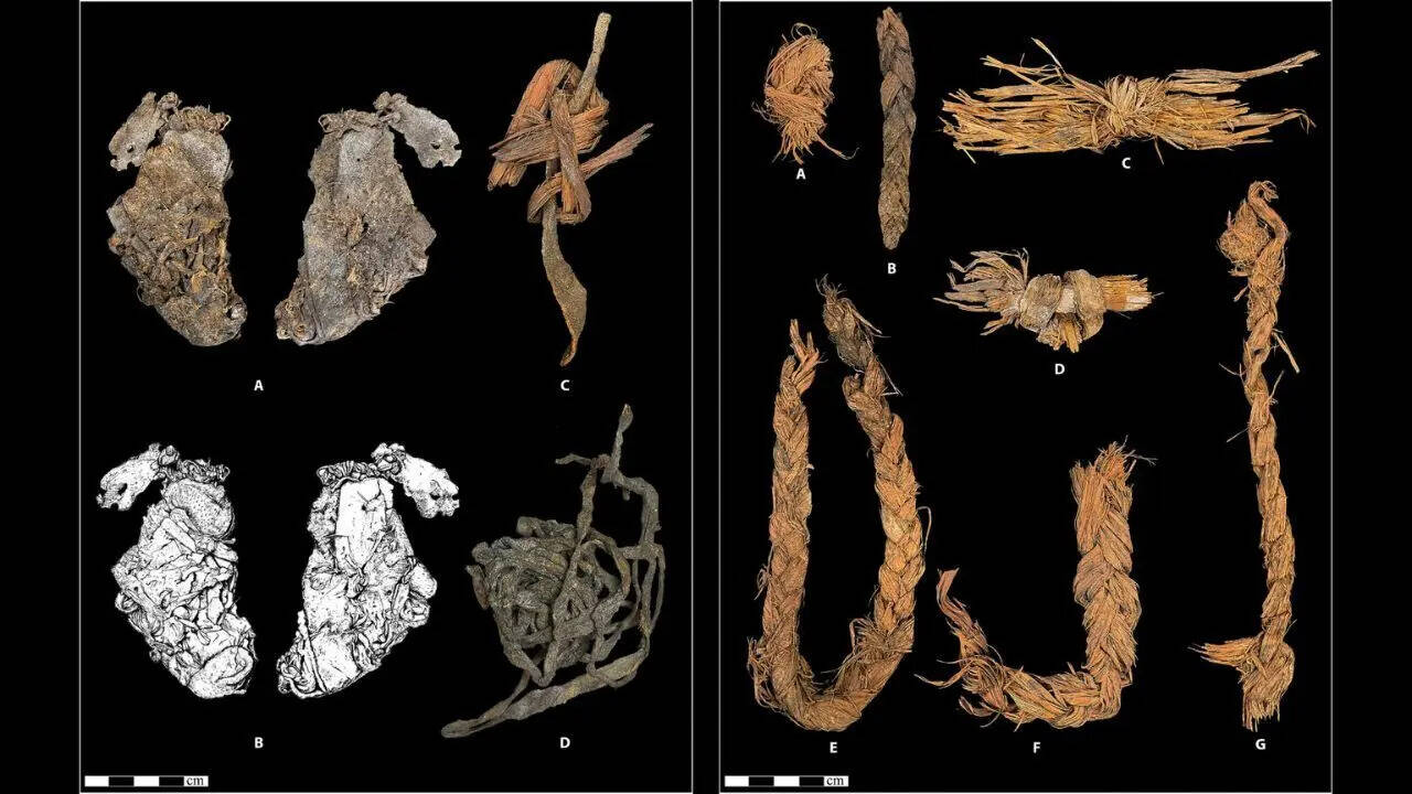 12,000-year-old elk hide found in cave may be world’s oldest clothing