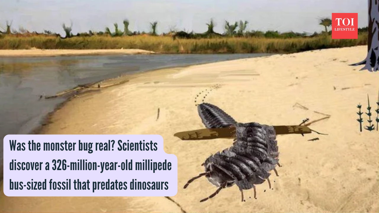 Was the monster bug real Scientists discover a 326-million-year-old millipede bus-sized fossil that predates dinosaurs (1)