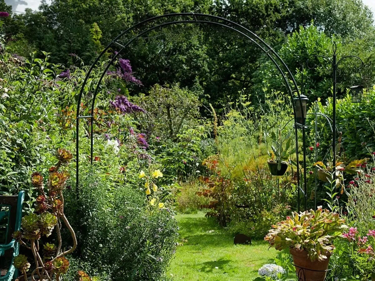 Why do garden borders look empty without enough evergreens