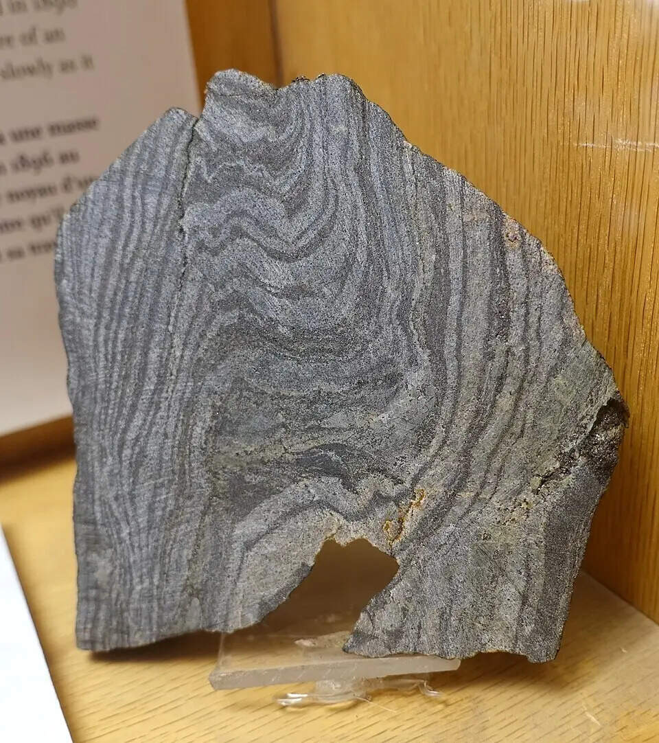 Porpoise_Cove_(Nuvvuagittuq)_banded_iron_formation,_northern_Quebec,_metamorphosed_3.8_billion_years_ago,_magnetite_and_quartz_-_Redpath_Museum_-_McGill_University_-_Montreal,_Canada_-_DSC07889