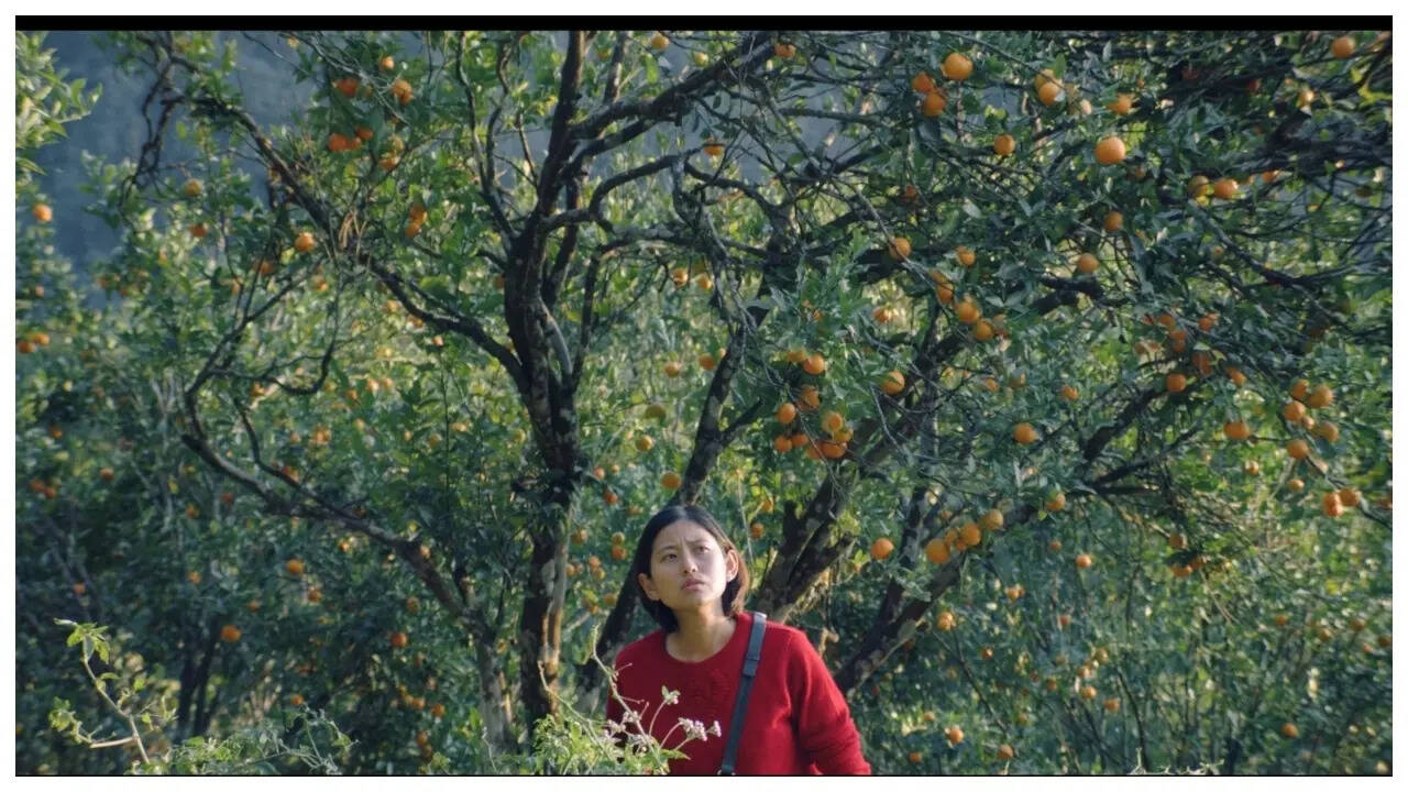 The Busan Film Festival award-winning debut, produced by Dalley Khorsani Production and co-produced by Kathkala Films, has travelled widely across leading international festivals