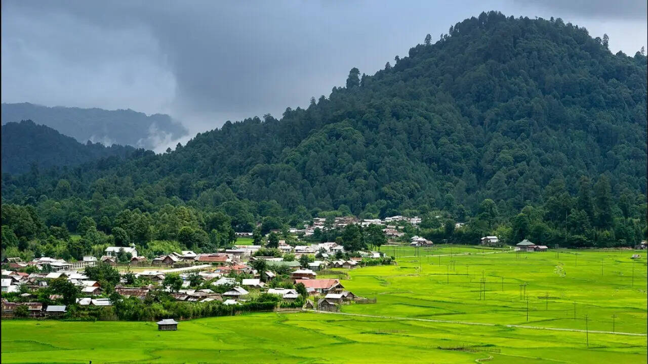 Ziro, Arunachal Pradesh