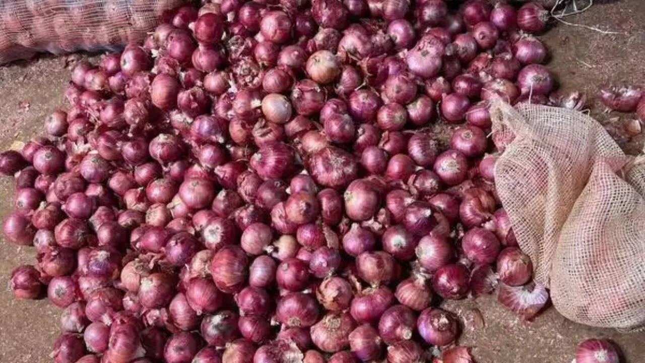 Onion crisis returns: Farmer sells 25 sacks, gets nothing, asked to pay `1 instead