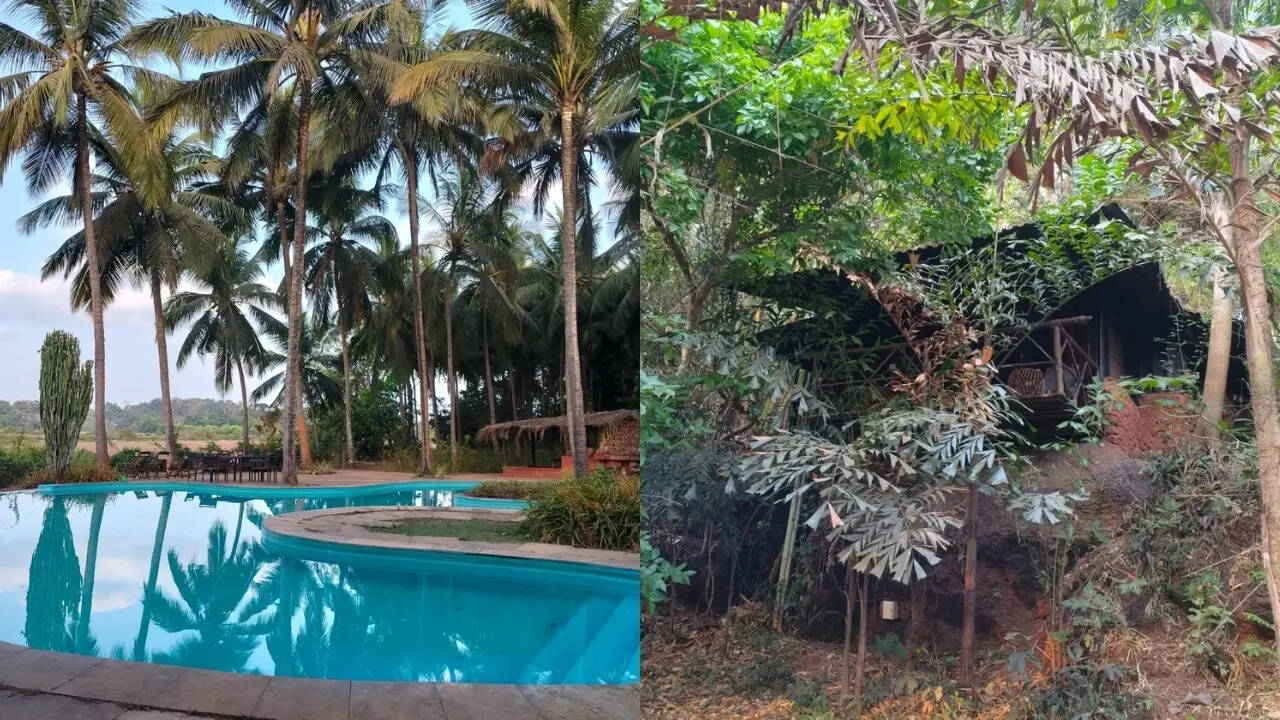 Snapshots from Olaulim Backyards