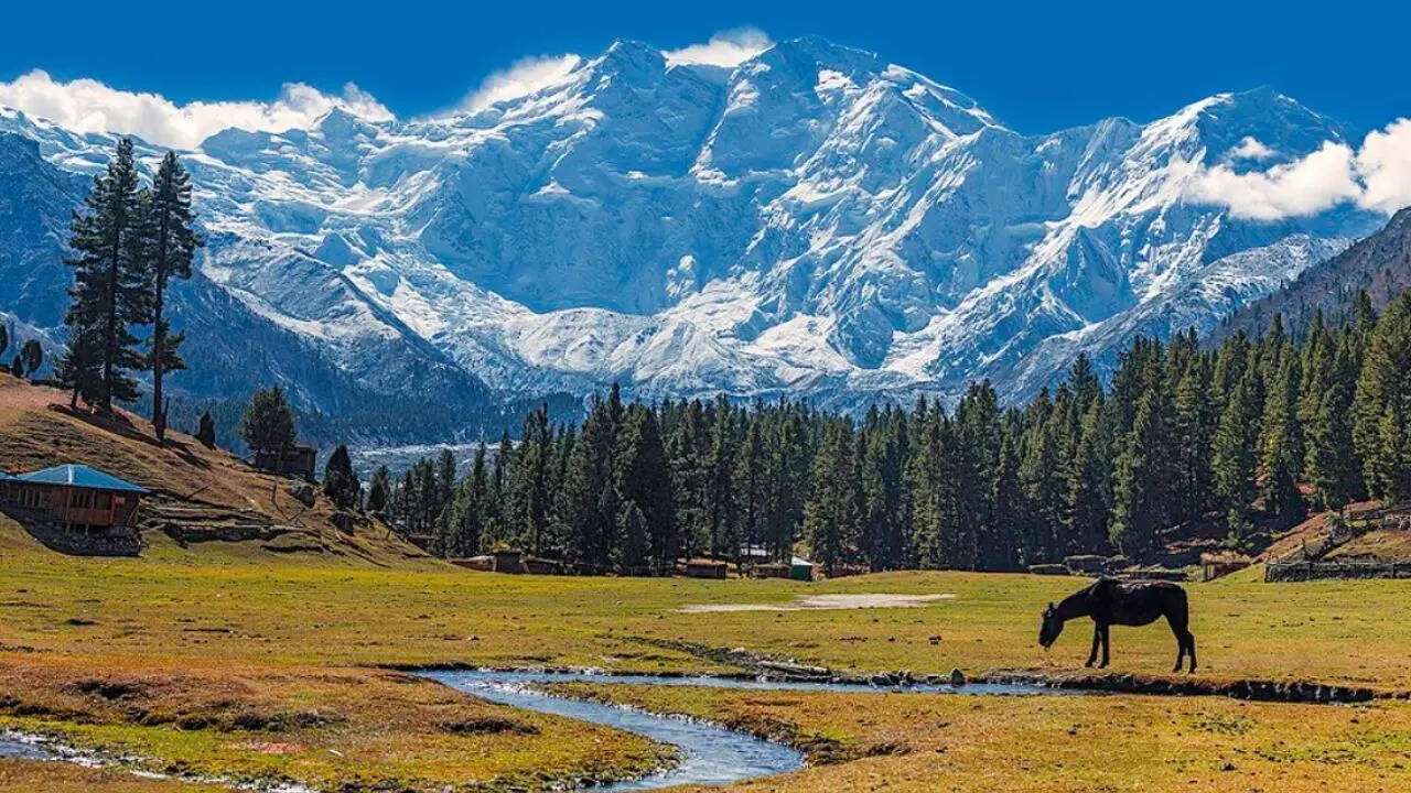 Nanga Parbat