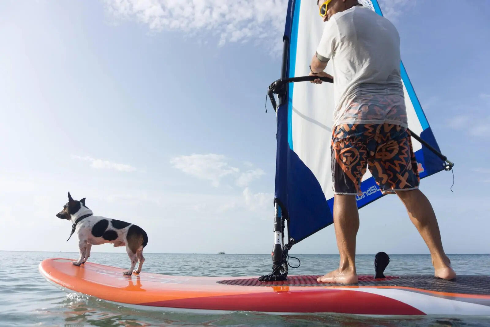 Windsurfing