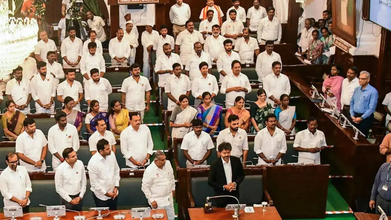 TVK wins most seats in Tamil Nadu’s 2026 Assembly election; Hung outcome reported