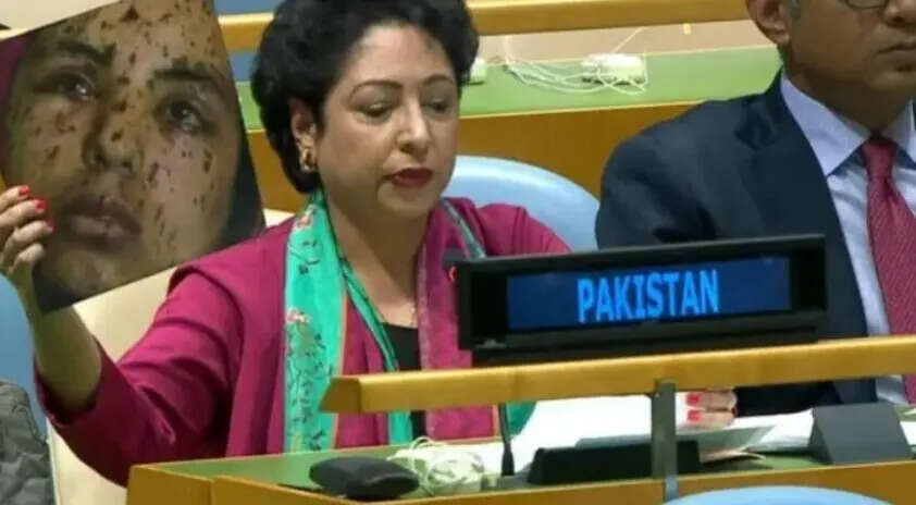 Screengrab from UN live.