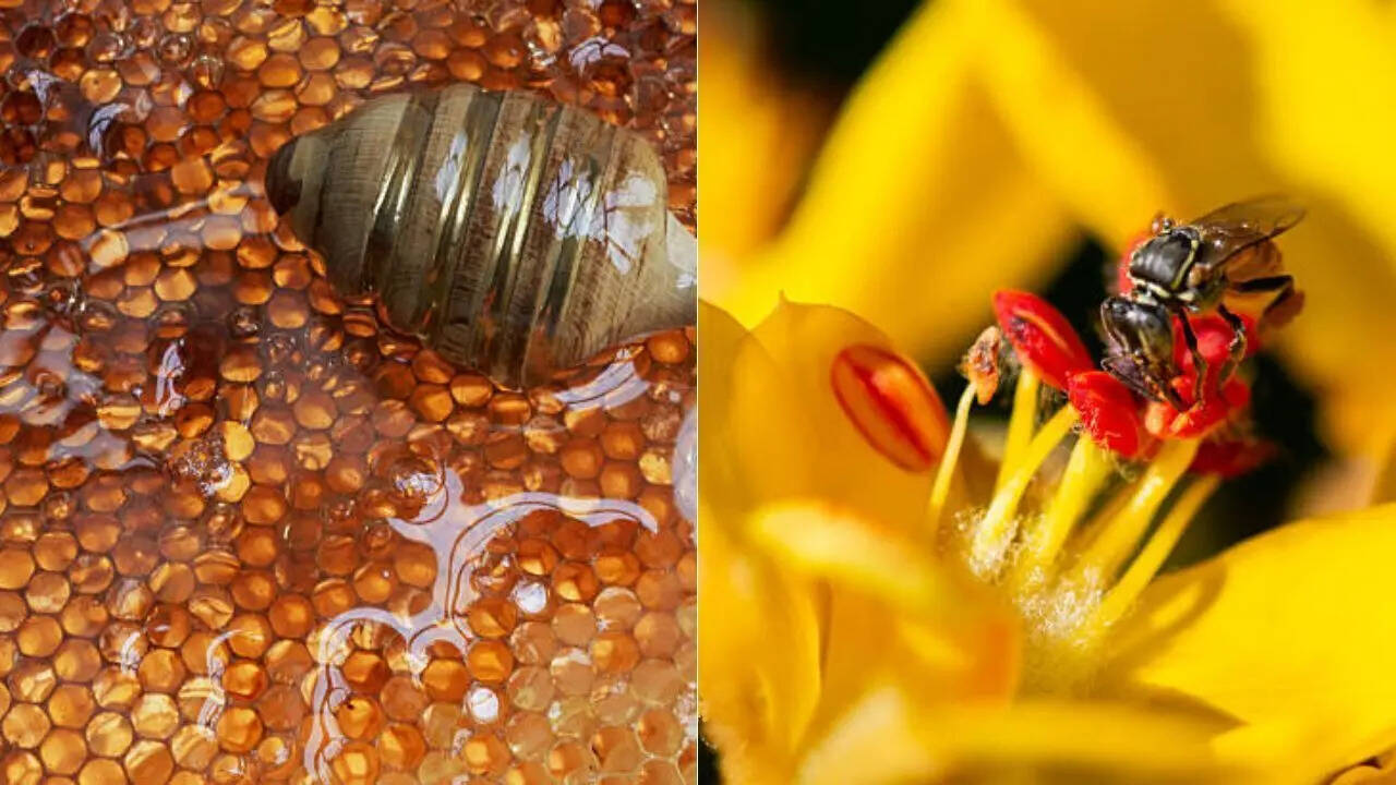 For years, this cycle flowed easily. Flowers bloomed, bees appeared, nectar flowed and honey was ready.