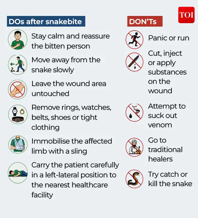 Snakebite cases