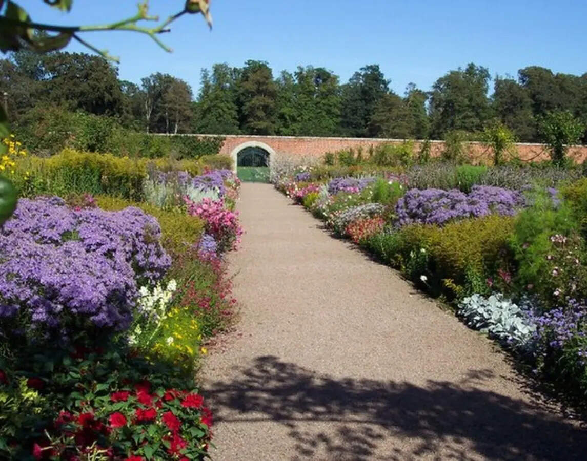 The secret to a calmer garden border is repeating the right plants