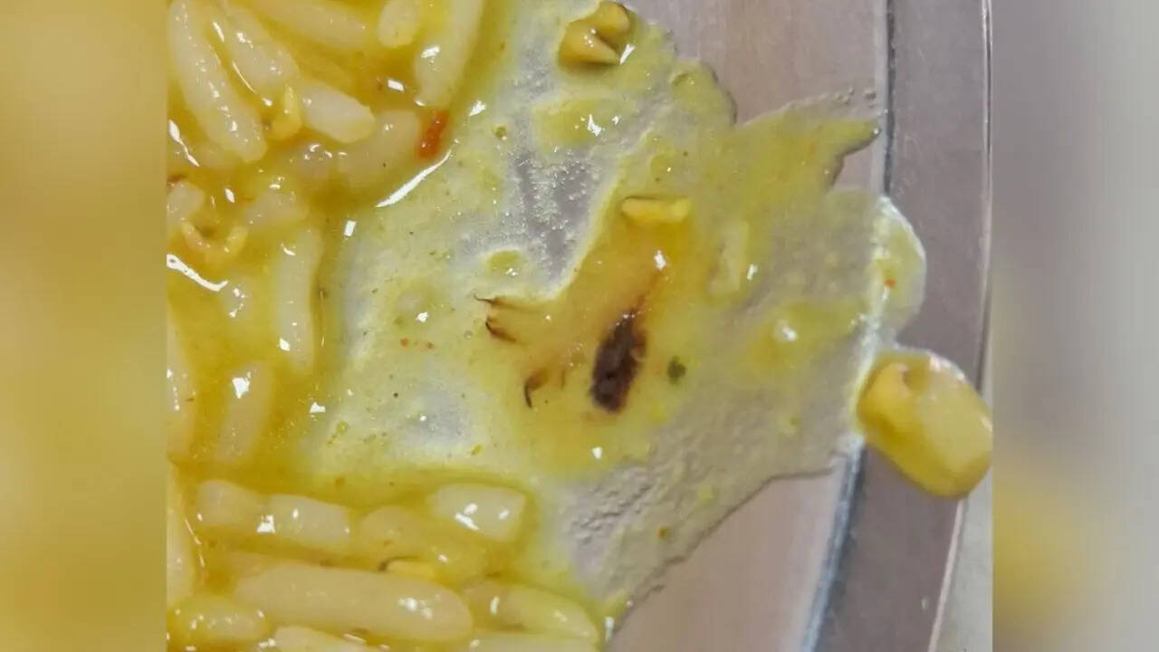 Cockroach found in food at RML doctors’ hostel mess, probe ordered