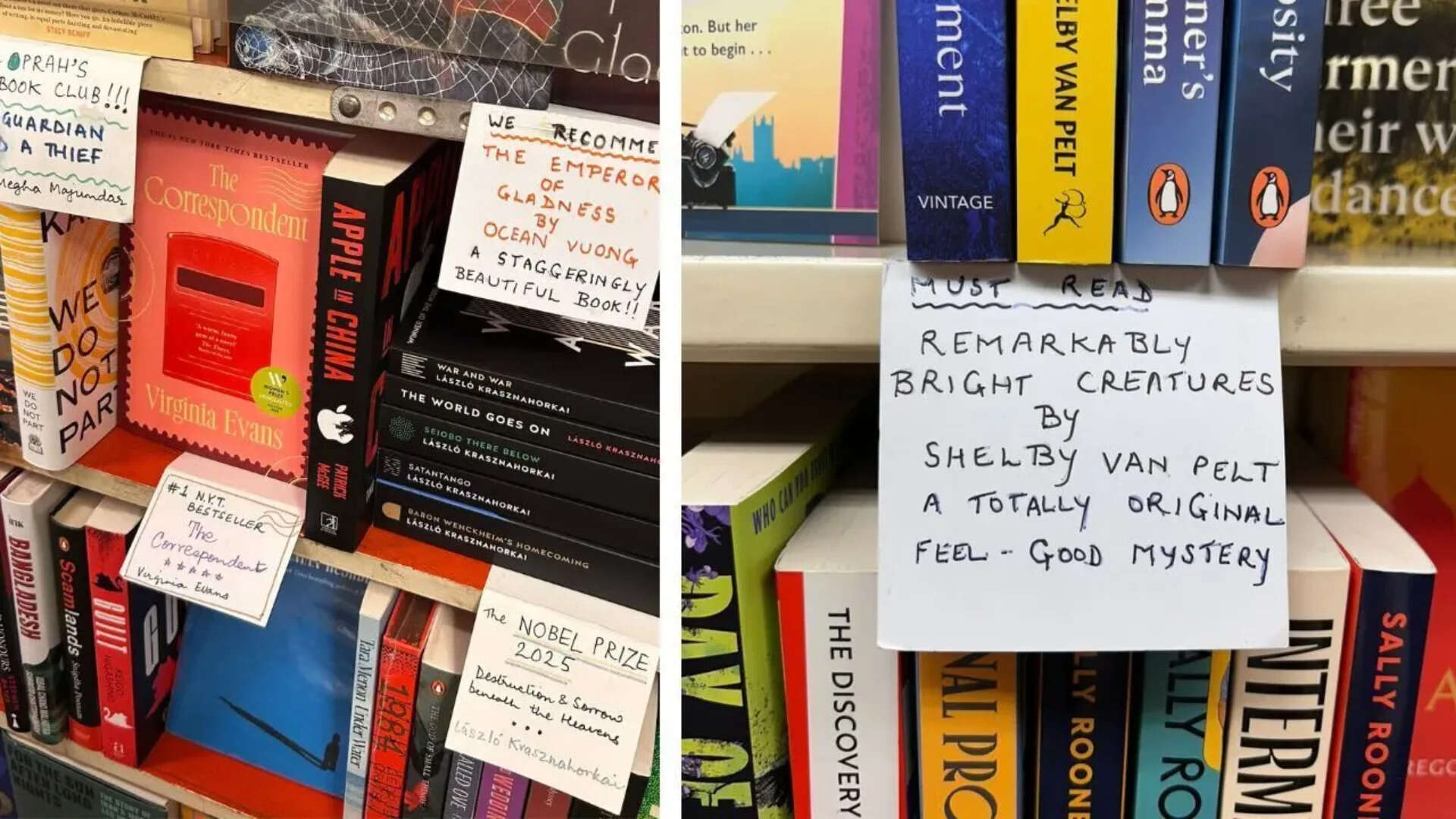 Handwritten notes and recommendations at bookstores catch the eye of readers for offering a human touch