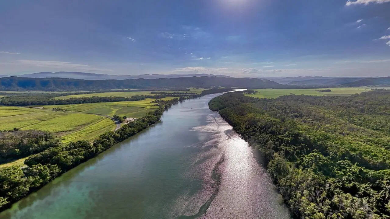 Daintree River