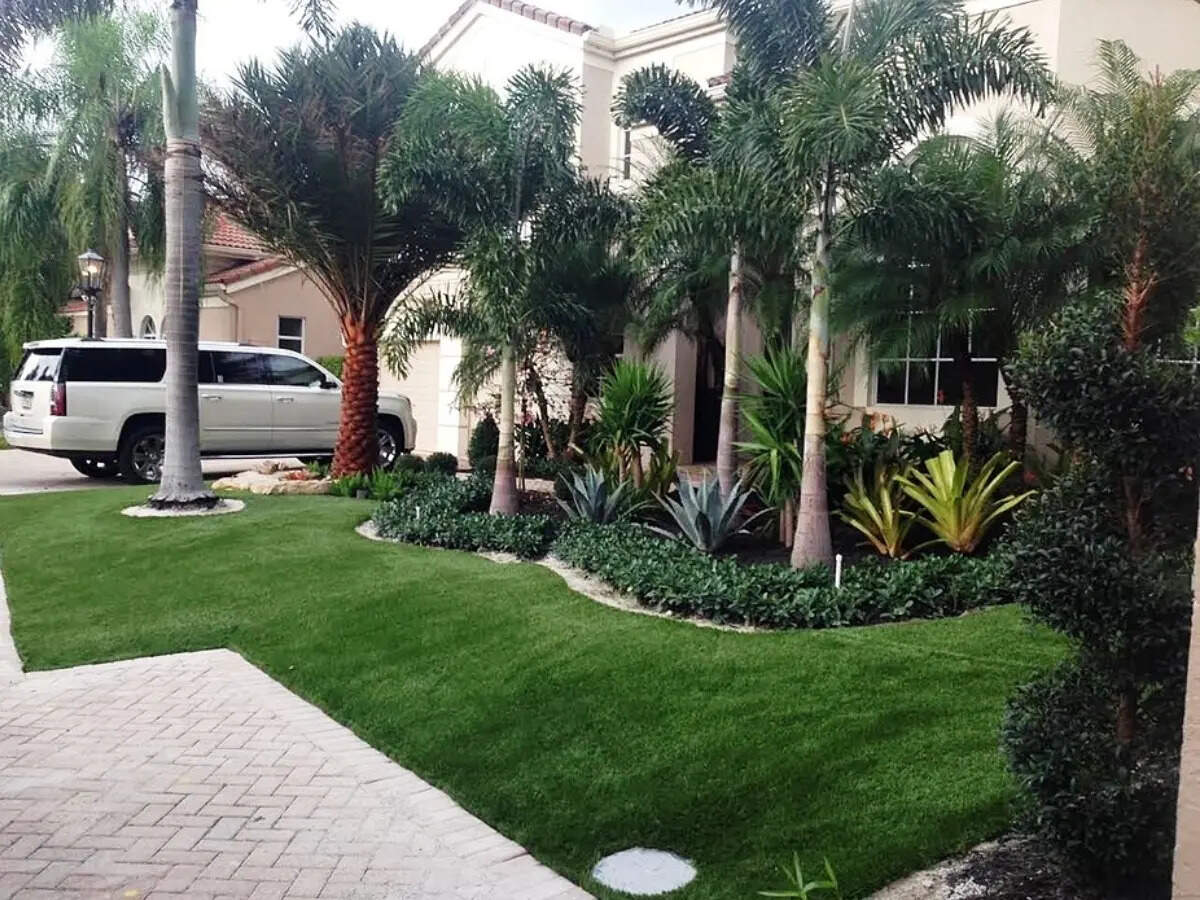 Why some front garden borders look expensive even with fewer plants?