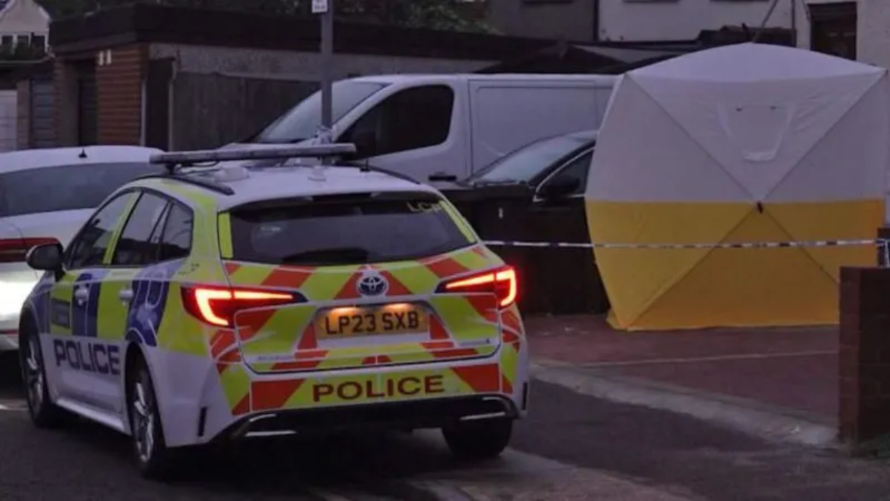 Indian-origin man convicted of attempted murder of woman and child in London stabbing