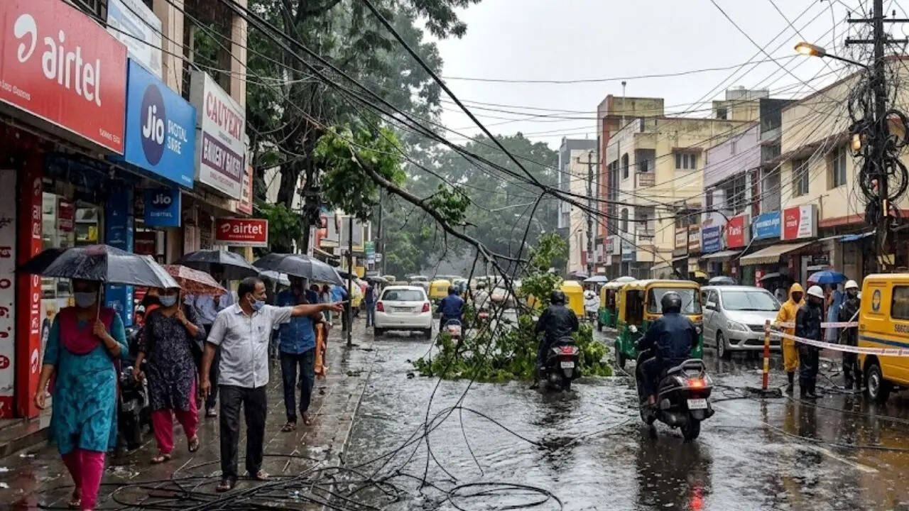 Snapped cables and fallen branches create danger on a rain-hit Bengaluru road