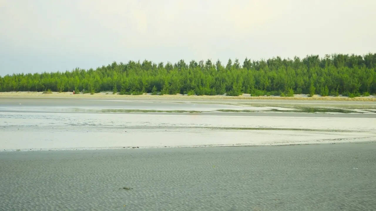 Gangasagar in West Bengal