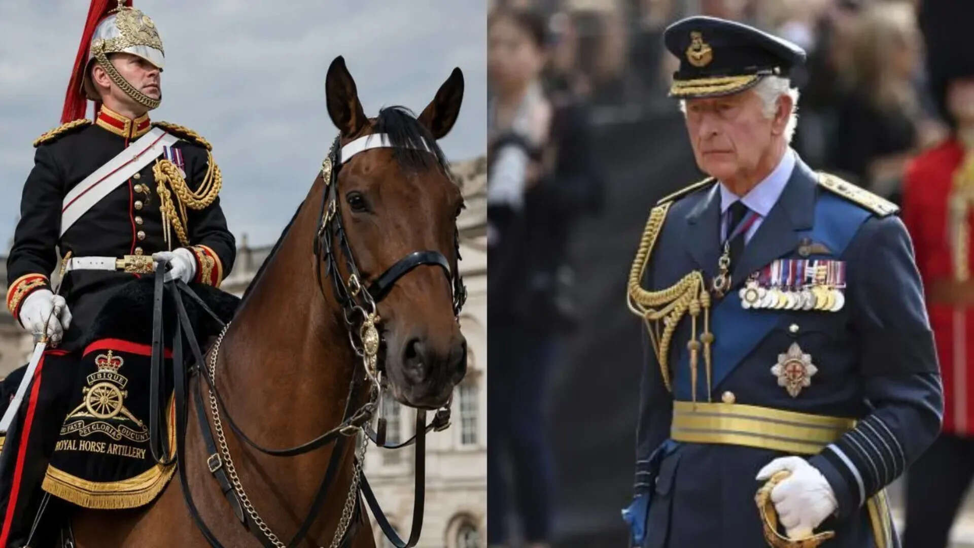 King Charles ‘shocked and saddened’ as British soldier dies after falling from horse