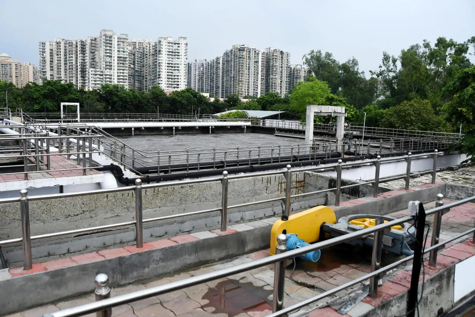 16STP Plant Dundaheda-4.jpg