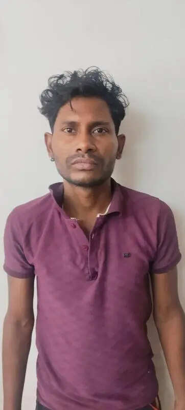 msid 131145428,imgsize 13774 https://jaipur.visitinrajasthan.com/wp-content/uploads/2023/10/cropped-cropped-R-2.png