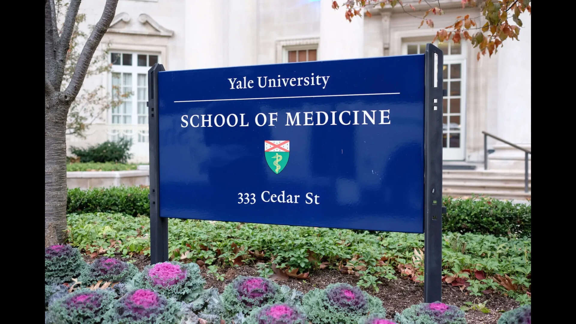 Yale medical school under federal fire over alleged race-based admissions